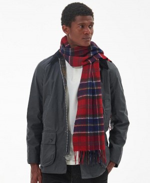 Esarfe Barbati Barbour Tartan Rosii | Romania_BAR23319