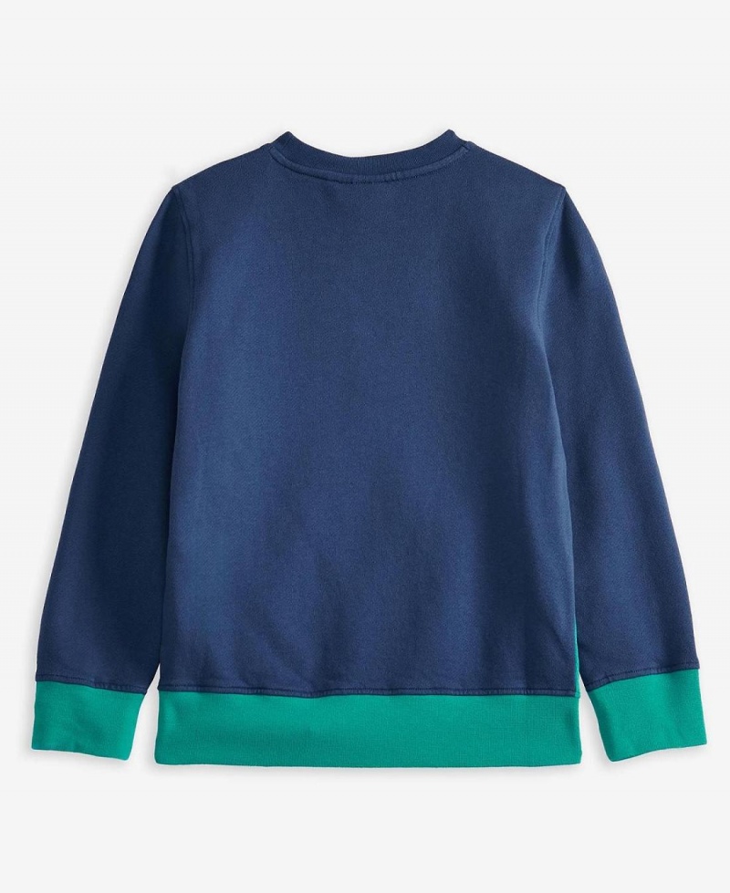 Haine Copii Barbour Boys' Benjamin Sweatshirt Colorati | Romania_BAR62309