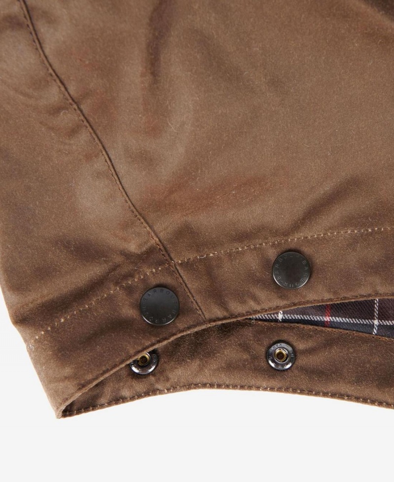 Liner / Hood Barbati Barbour Wax Bumbac Hood Colorati | Romania_BAR54937