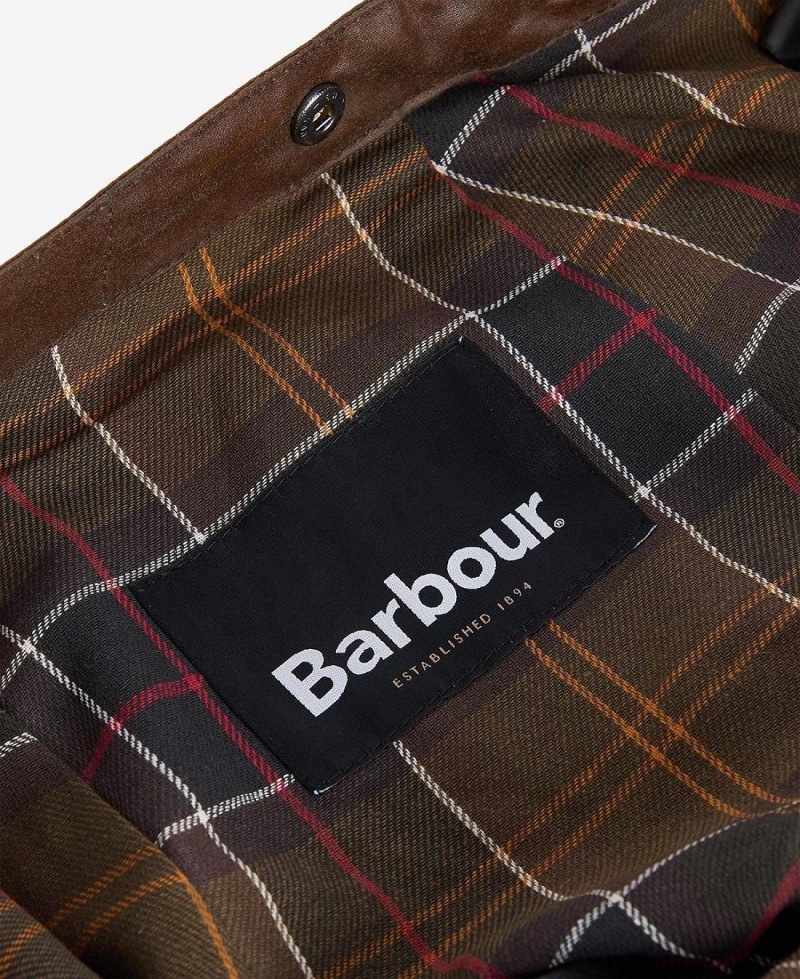 Liner / Hood Barbati Barbour Wax Bumbac Hood Colorati | Romania_BAR54937